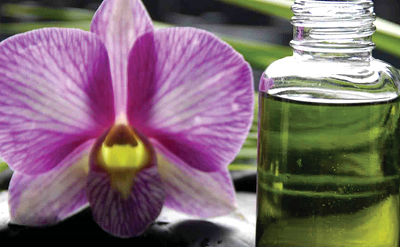Orchid style