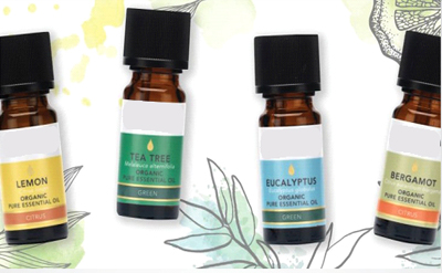 Seasonal Blend for Spa