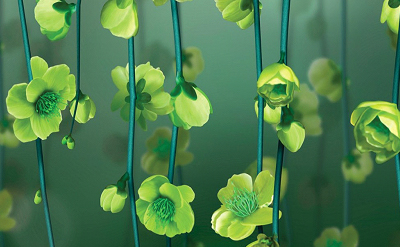 GREEN BLOSSOMS