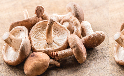 MUSHROOM OIL