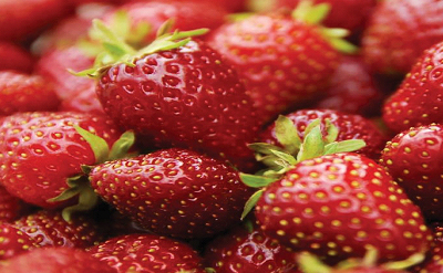 STRAWBERRY FIELDS