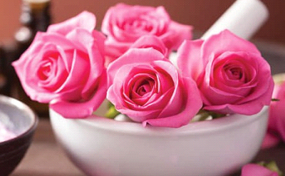 ROSETTE