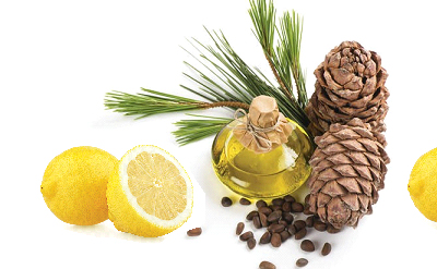 CITRUS AND CEDAR