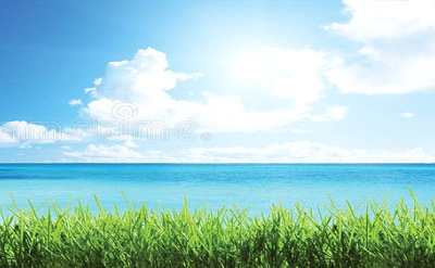 GREEN SEA SHOWER