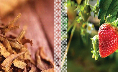 STRAWBERRY TOBACCO