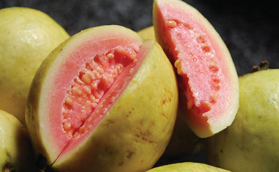 GUAVA