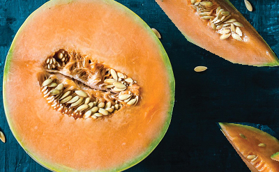 MELON BASE