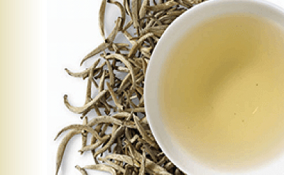 WHITE TEA