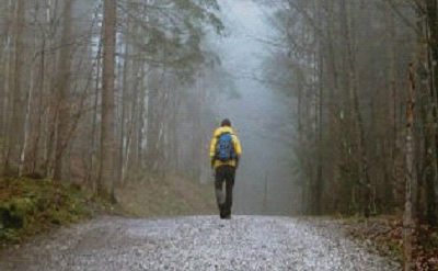 INTO WILDERNESS