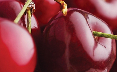 CHERRY LIP BALM