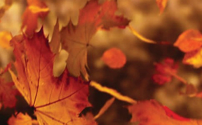 AUTUMN NITE