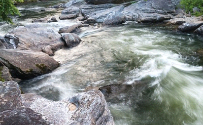 RIVER WILD