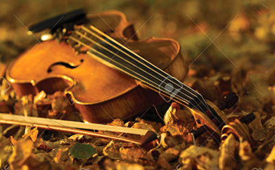 Chanson D-Automne Deocologne
