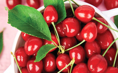 BLISSFUL BERRY