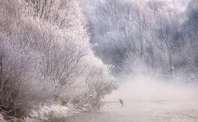 WINTER MIST PILLOW