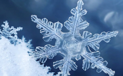 SNOW FLAKE
