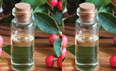 WINTERGREEN MELODY