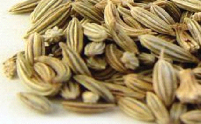 CARAWAY SEED