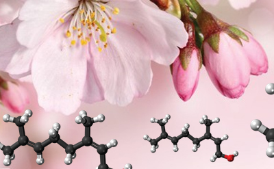 Rhodinol Artificial Base
