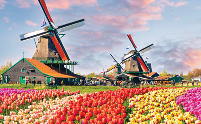 KEUKENHOF GARDENS