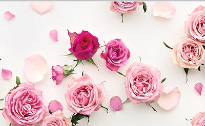 Mille Fleurs Wardia Rose is a luxurious bouquet of roses blended with an enchanting array of floral 