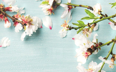 Light Floral fabric softener