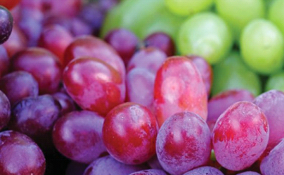 Grape