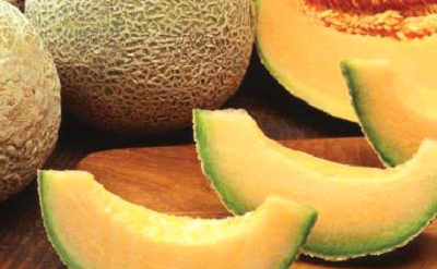 MELON FRUITS