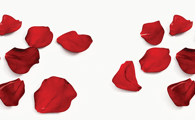 ROSE PETAL