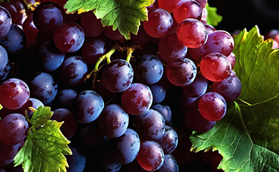 GRAPE
