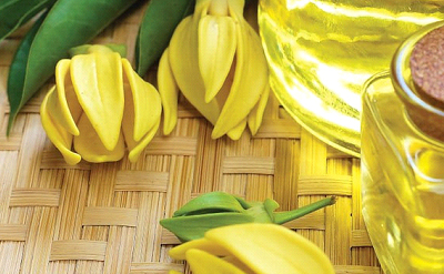 YLANG SPECIAL