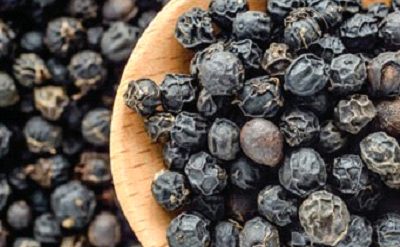 PEPPER BASE