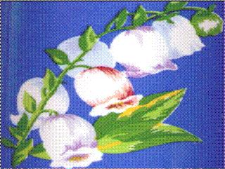 Muguet Flowers