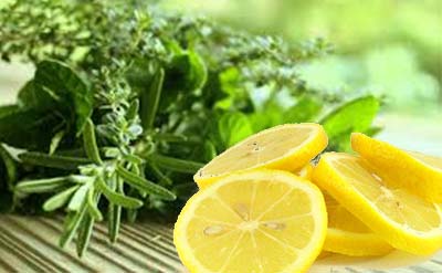 Eucalyptus Citriodora Natural Blend