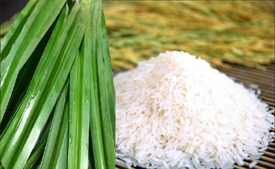 Fragrant Rice Fleuressence