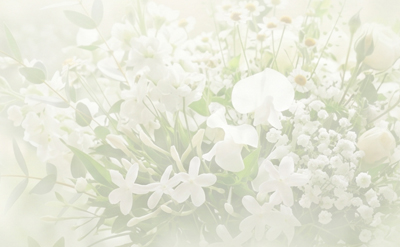 Light Crisp Floral Fleuressence