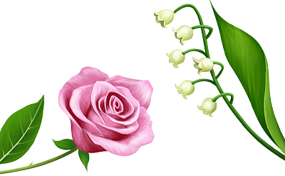 Phenyl Ethyl Alcohol (PEA)