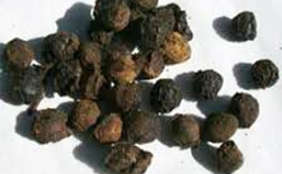 Sugandha Kokila Essential Oil